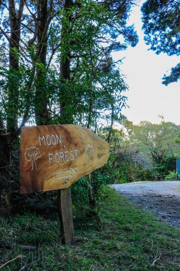 Moon Forest Apartments Monteverde Dış mekan fotoğraf