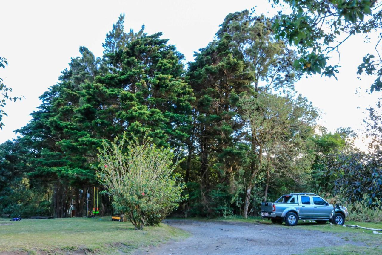 Moon Forest Apartments Monteverde Dış mekan fotoğraf