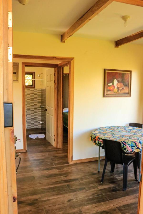 Moon Forest Apartments Monteverde Dış mekan fotoğraf