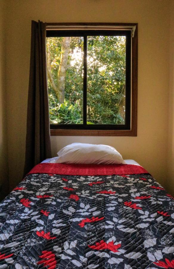 Moon Forest Apartments Monteverde Dış mekan fotoğraf